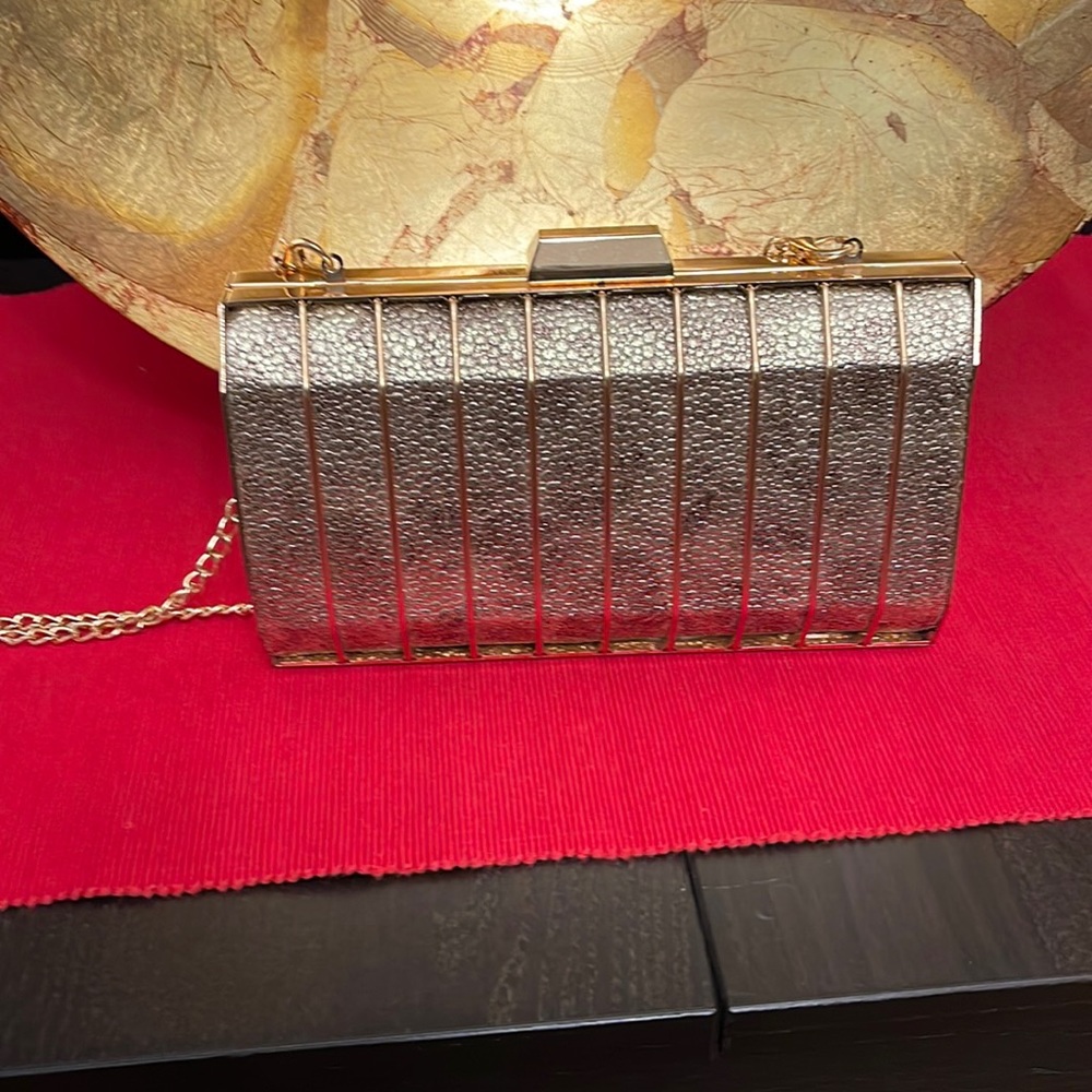 Evening Clutch/ Shoulder Bag